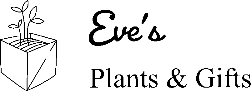 Eve's Plants & Gifts
